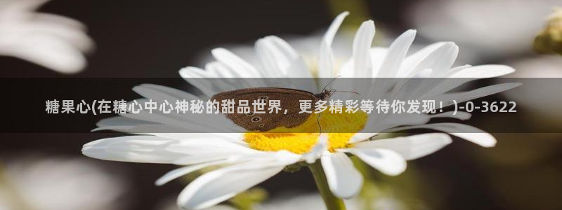 糖心lvong